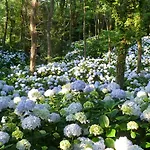 Фермерский дом Mar Y Mar Сан-Себастьян