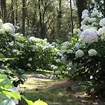 Mar Y Mar Фермерский дом *