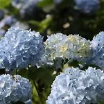 Фермерский дом Mar Y Mar