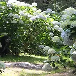 Mar Y Mar Фермерский дом Сан-Себастьян