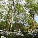 Фермерский дом Mar Y Mar