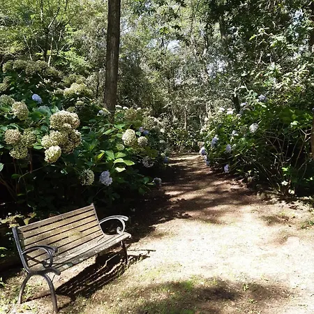 Lantgård Mar Y Mar *