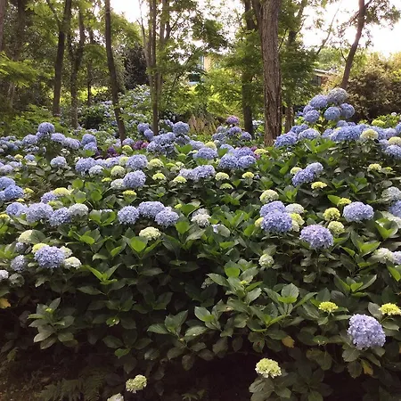 Lantgård Mar Y Mar *