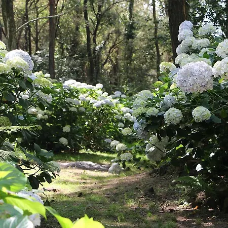 Mar Y Mar Lantgård *