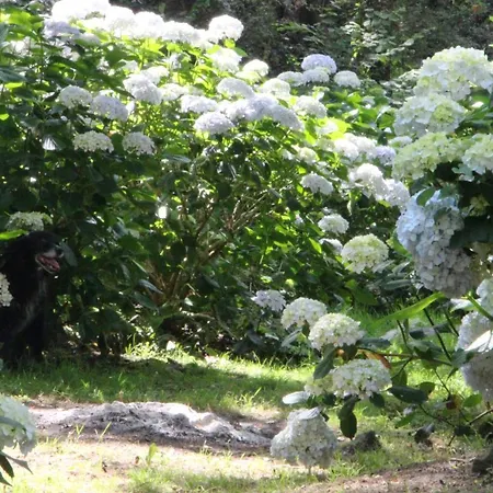 Mar Y Mar Lantgård San Sebastián