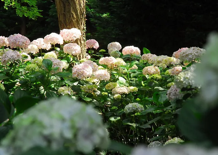Mar Y Mar Agroturismo San Sebastián