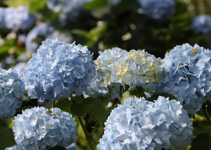 Agroturismo Mar Y Mar