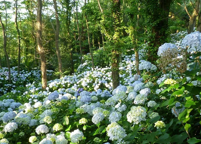 Κατάλυμα σε φάρμα Mar Y Mar