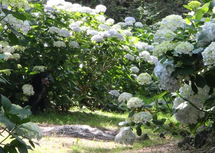 Mar Y Mar Agroturismo San Sebastián