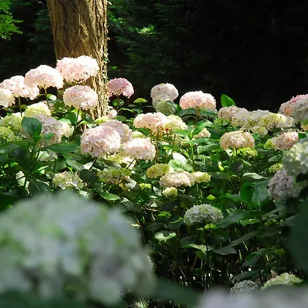 Mar Y Mar Фермерский дом Сан-Себастьян