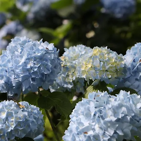 アパート Mar Y Mar