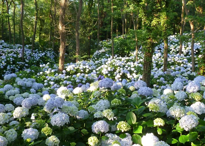 Фермерский дом Mar Y Mar Сан-Себастьян