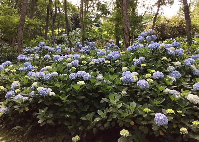 Фермерский дом Mar Y Mar *