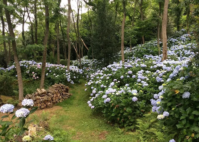 Mar Y Mar Фермерский дом