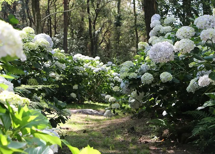 Mar Y Mar Фермерский дом *