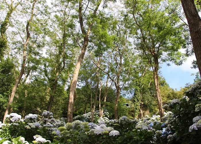 Фермерский дом Mar Y Mar