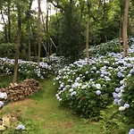 Mar Y Mar Farm stay
