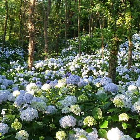 Alojamento de Turismo Rural Mar Y Mar San Sebastián