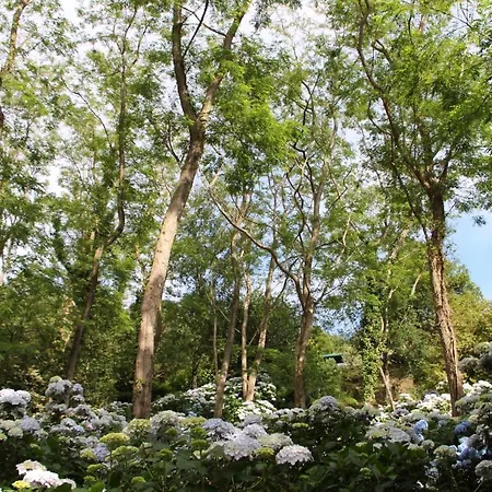 Alojamento de Turismo Rural Mar Y Mar